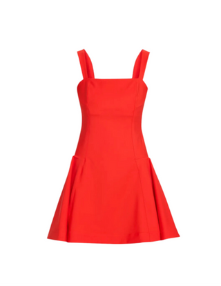 Sadie Sleeveless Mini Dress