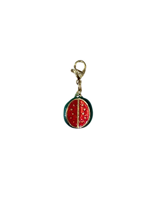 CHARMS